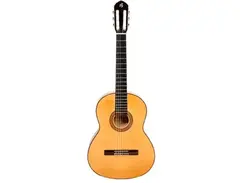 Francisco Bros B20F guitar main image