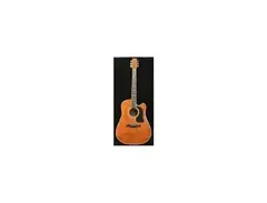 Washburn D17CE main image