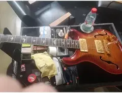 PRS Florian Dubos Signature main image