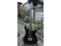 Westone Spectrum SX