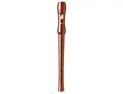 Hohner Flute B9555 main image