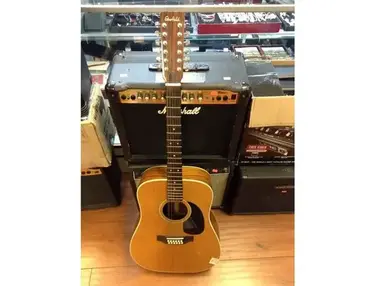 Starfield 12-String