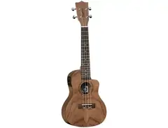 Tanglewood TWT13-E main image