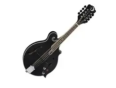 Luna Moonbird F Style Mandolin w/ Piezo