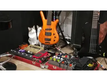 Warwick corvette taranis