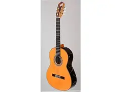 Guitarra Bros Alcazar main image