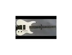 Steinberger Gm-1