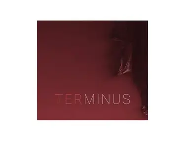 8Dio Hybrid Tools Terminus