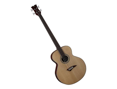 EAB Fretless acoustic bass