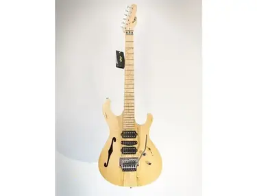 PD Guitars Fusion-Semi Hollow