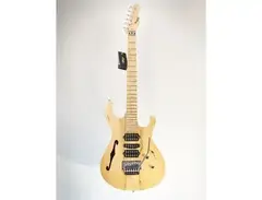 PD Guitars Fusion-Semi Hollow
