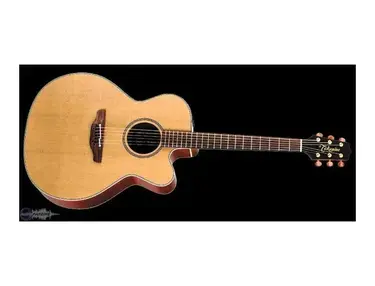 Takamine TAN20C