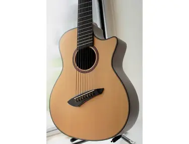 Agile Renaissance 8X NA 8 string Acoustic Multiscale