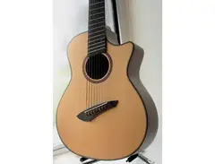 Agile Renaissance 8X NA 8 string Acoustic Multiscale