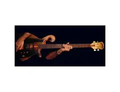 2002 4-string piccolo main image