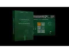 Cinematic Studio Woodwinds