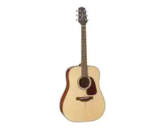 Takamine D4D main image