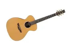 Vintage VE2000DLX Gordon Giltrap Signature Deluxe main image