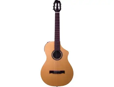 Variax Acoustic 300 Nylon