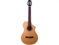 Variax Acoustic 300 Nylon main image