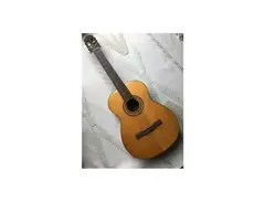 Musima Nylon Classical Guitar main image