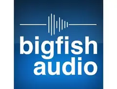 Big Fish Audio Loop Library main image