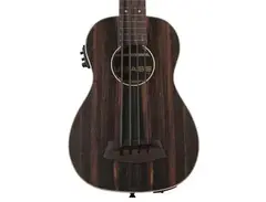 Kala ubass rumbler fretless main image