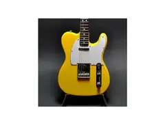 Fernando Telecaster main image
