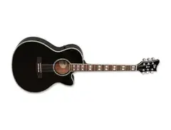 ESP LTD Xtone Series XAC 10E main image
