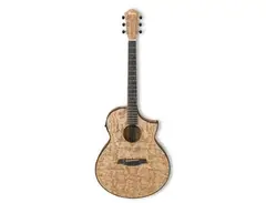 Ibanez AEW40AS main image