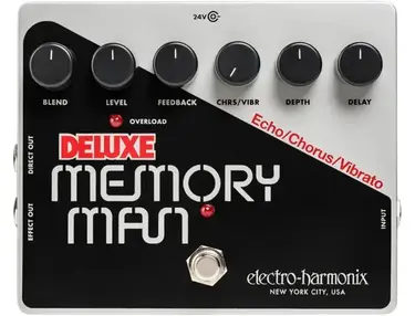 Electro-Harmonix Deluxe Memory Man 1100-TT - What To Know & Where