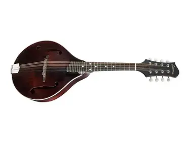 Eastman MD-305
