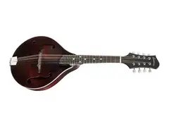 Eastman MD-305