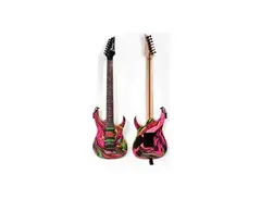 Ibanez Universe DNA Baritone Custom main image