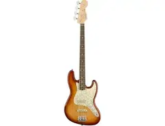 Fender Limited Edition Light Ash American Professional Jazz Bass main image