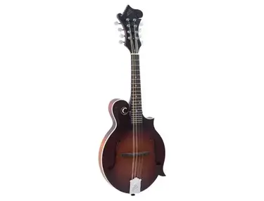 The Loar LM-310FE-BRB Acoustic-Electric Mandolin
