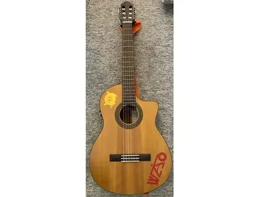Walden Guitars Natura N550CE