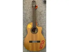 Walden Guitars Natura N550CE main image
