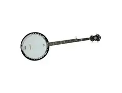 Fender FB-54 5 String Banjo