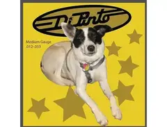 DiPinto Acoustic Guitar Strings main image