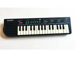 Casio sa-2 main image