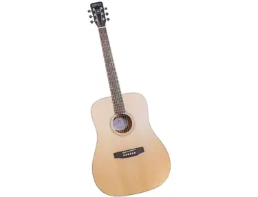 Nashville Guitar Works D10