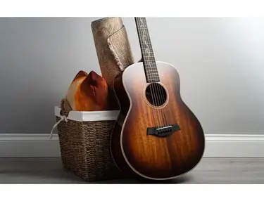 Taylor GT K21e