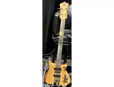 Alembic Series 2 Custom