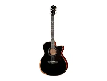 Harley Benton CLG 650SM-CE Solidwood