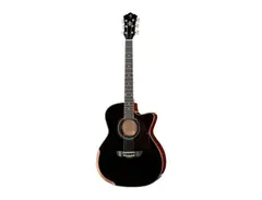 Harley Benton CLG 650SM-CE Solidwood main image
