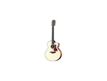 Taylor 555ce