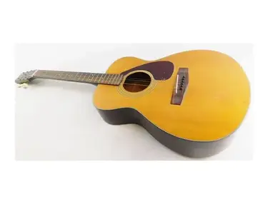Yamaha FG-110