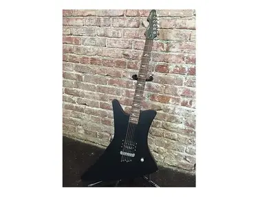 Schecter Tommy Lee Signature