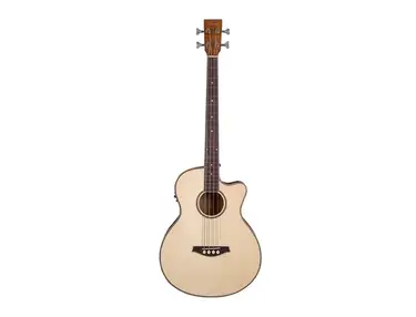 Artist Guitars ABJ605CEQ 5-String